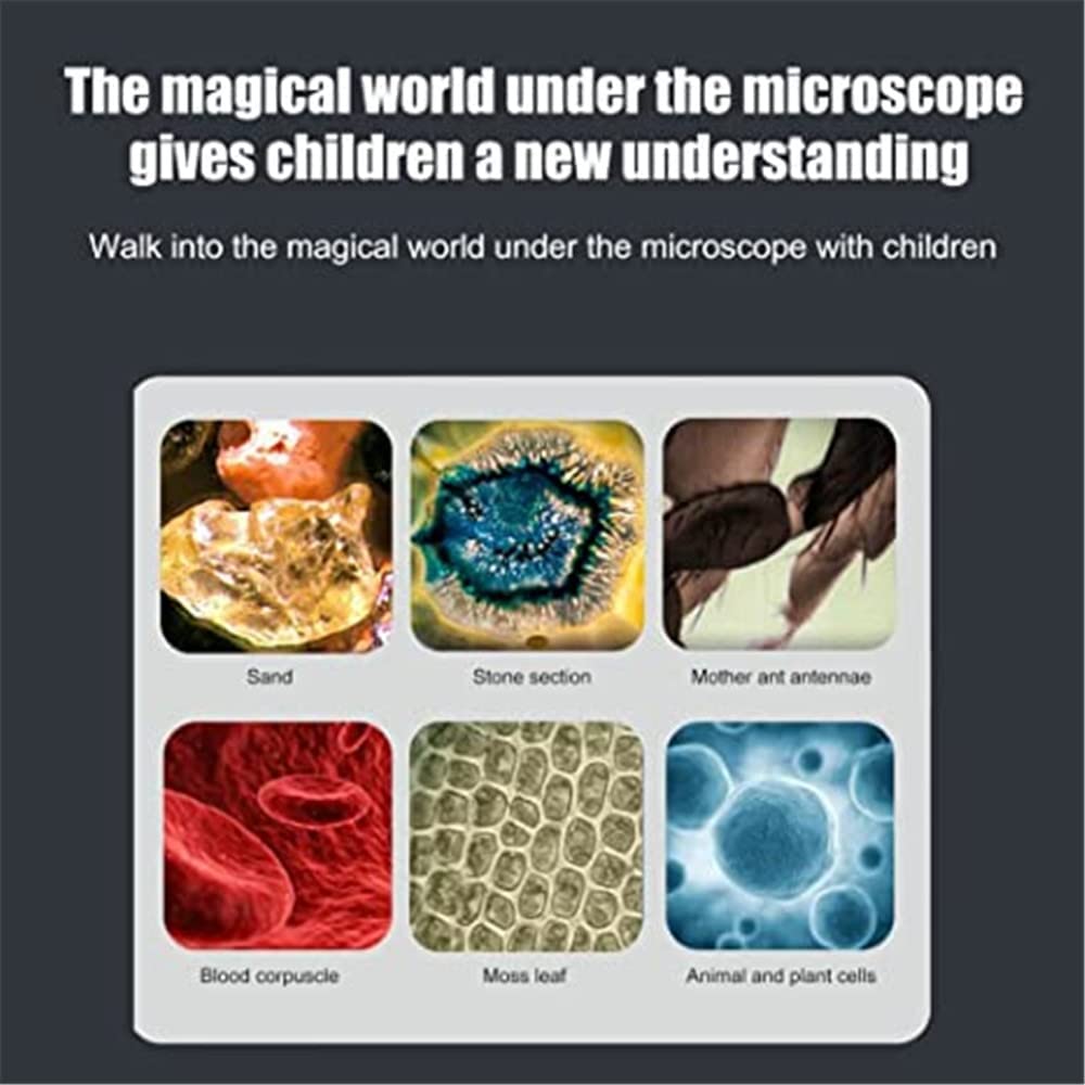 kibtoy Portable Microscope for Kids kibtoy Portable Microscope for Kids