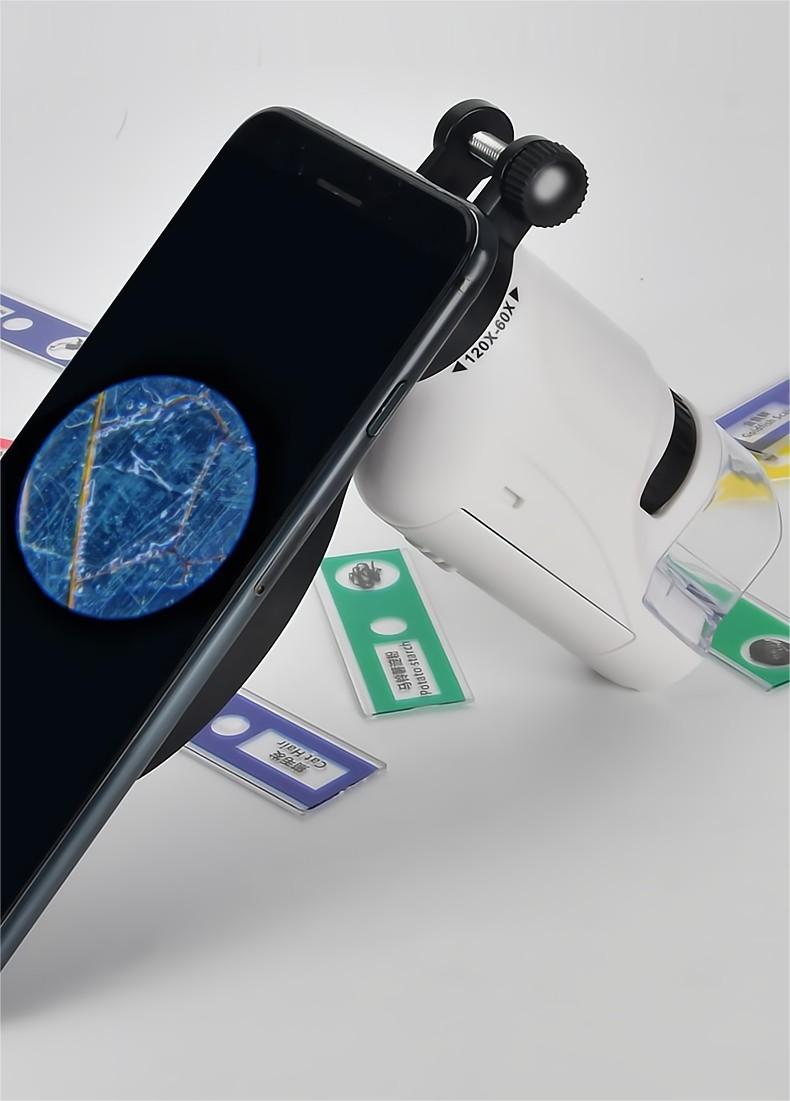 kibtoy Portable Microscope for Kids kibtoy Portable Microscope for Kids
