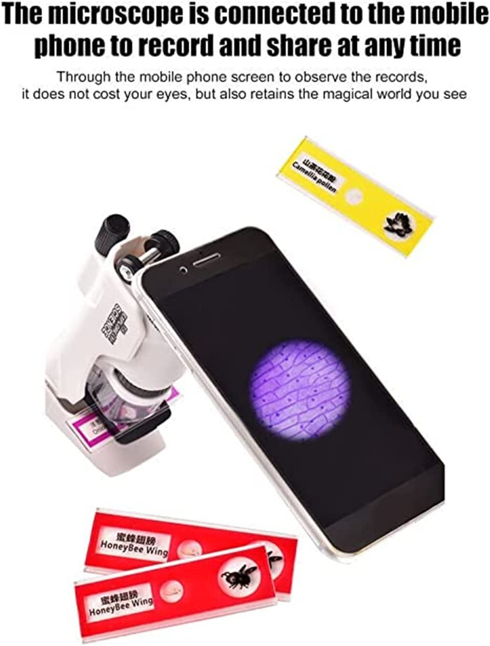 kibtoy Portable Microscope for Kids kibtoy Portable Microscope for Kids