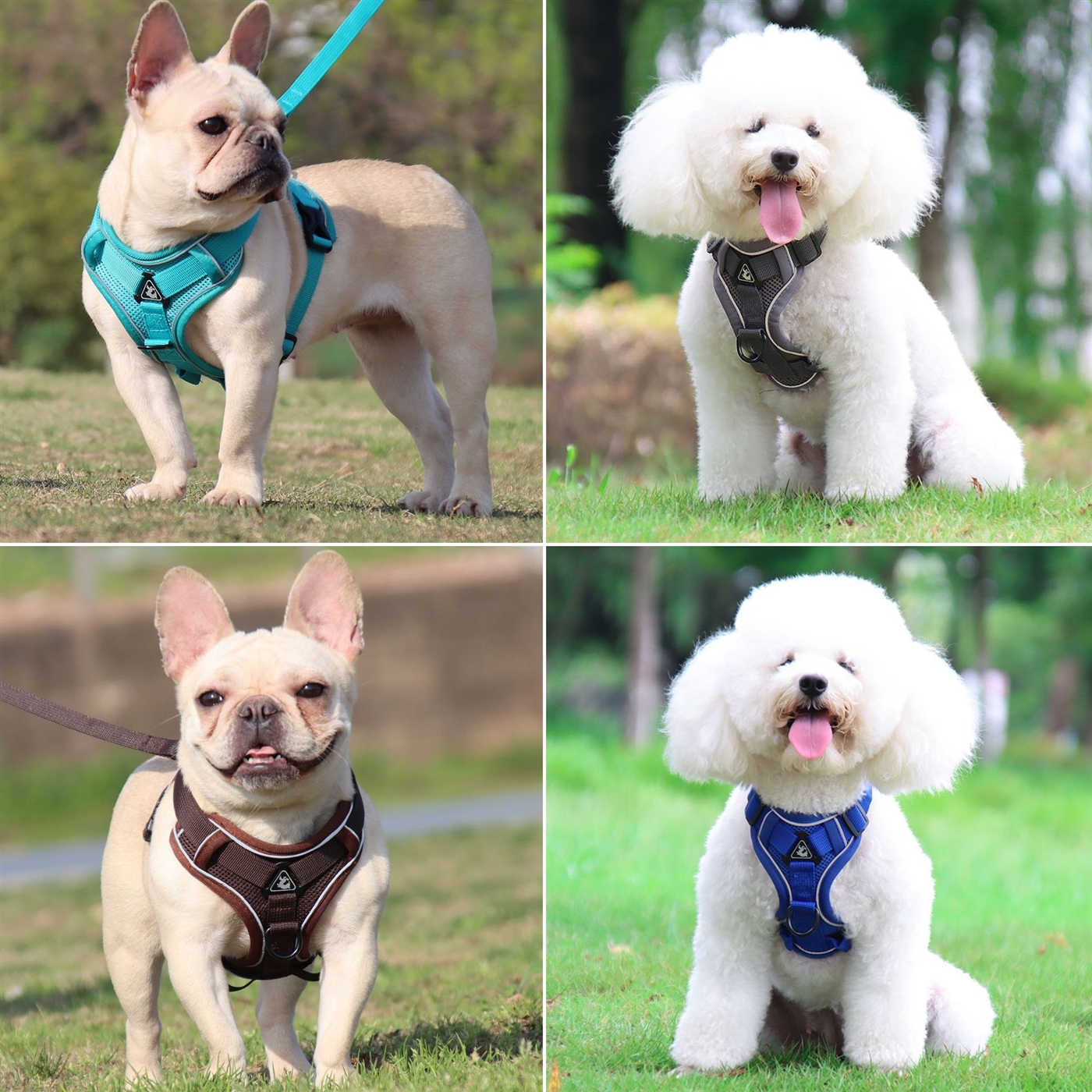 rc pets cat harness rc pets cat harness