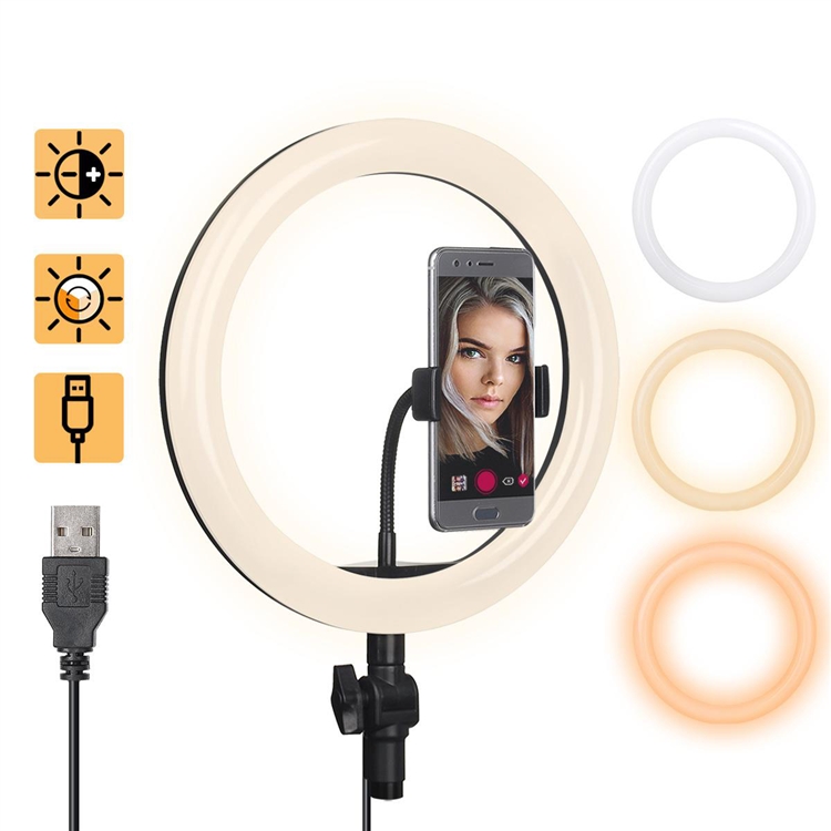 10 Inch Spare Ring Light 9252385