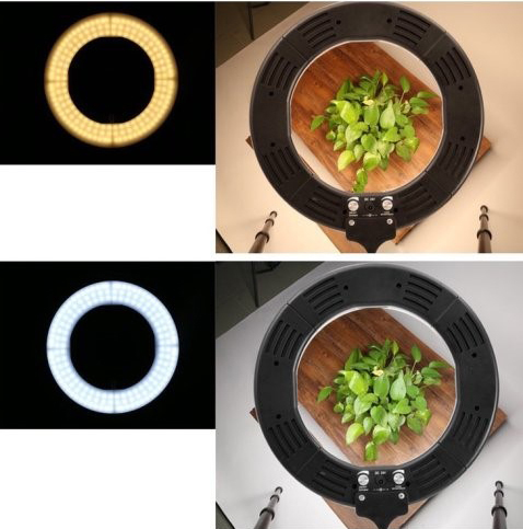 use ring light for food photography use ring light for food photography