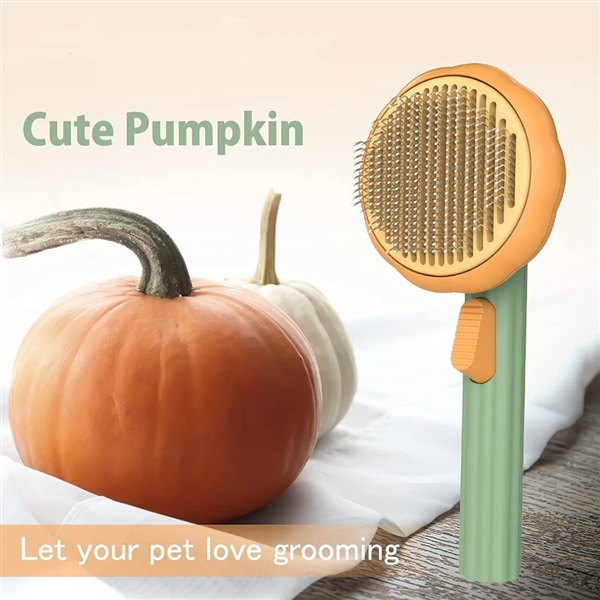 Picture of cleaning comb pumpkin pet brush for dog and cat