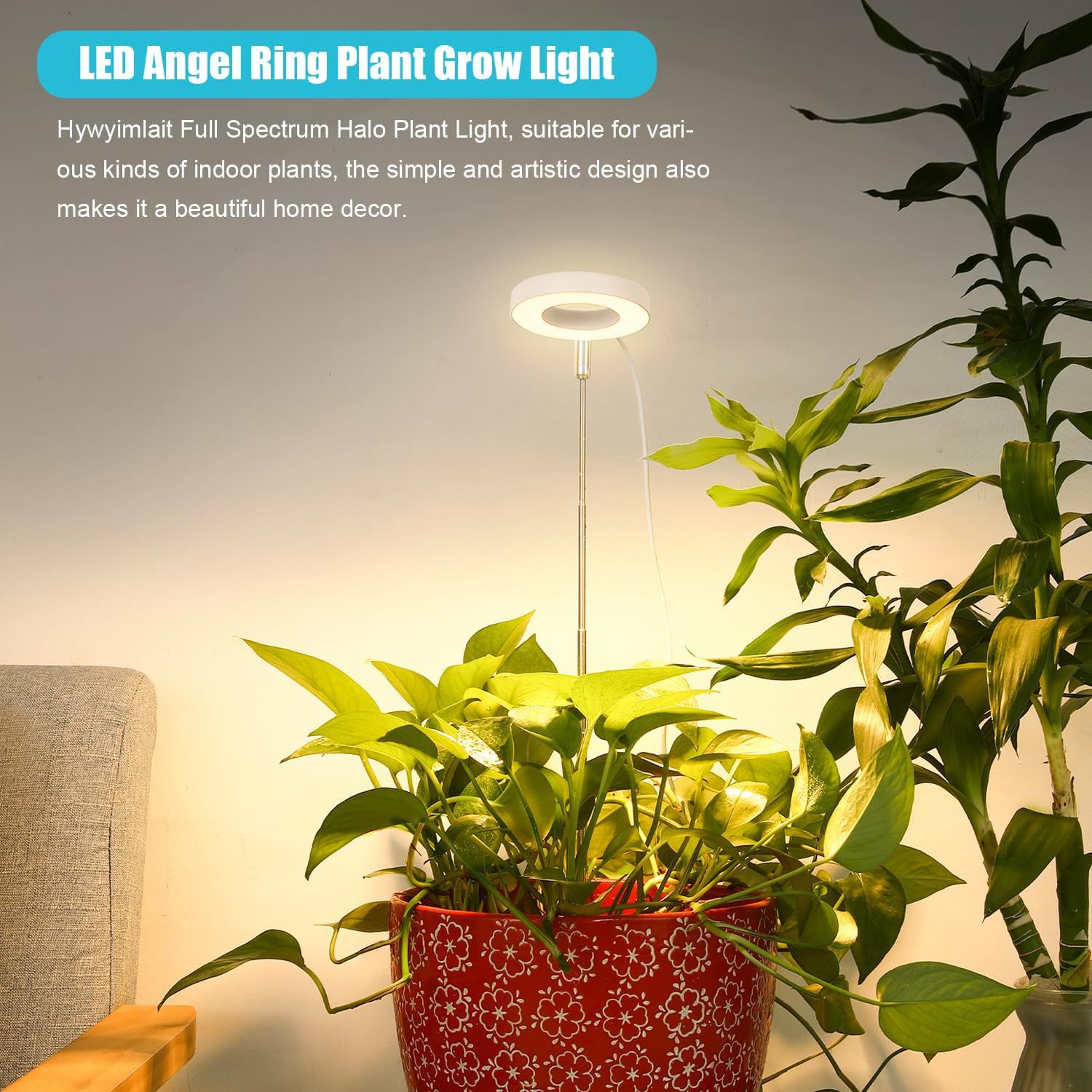 Product Cover 2