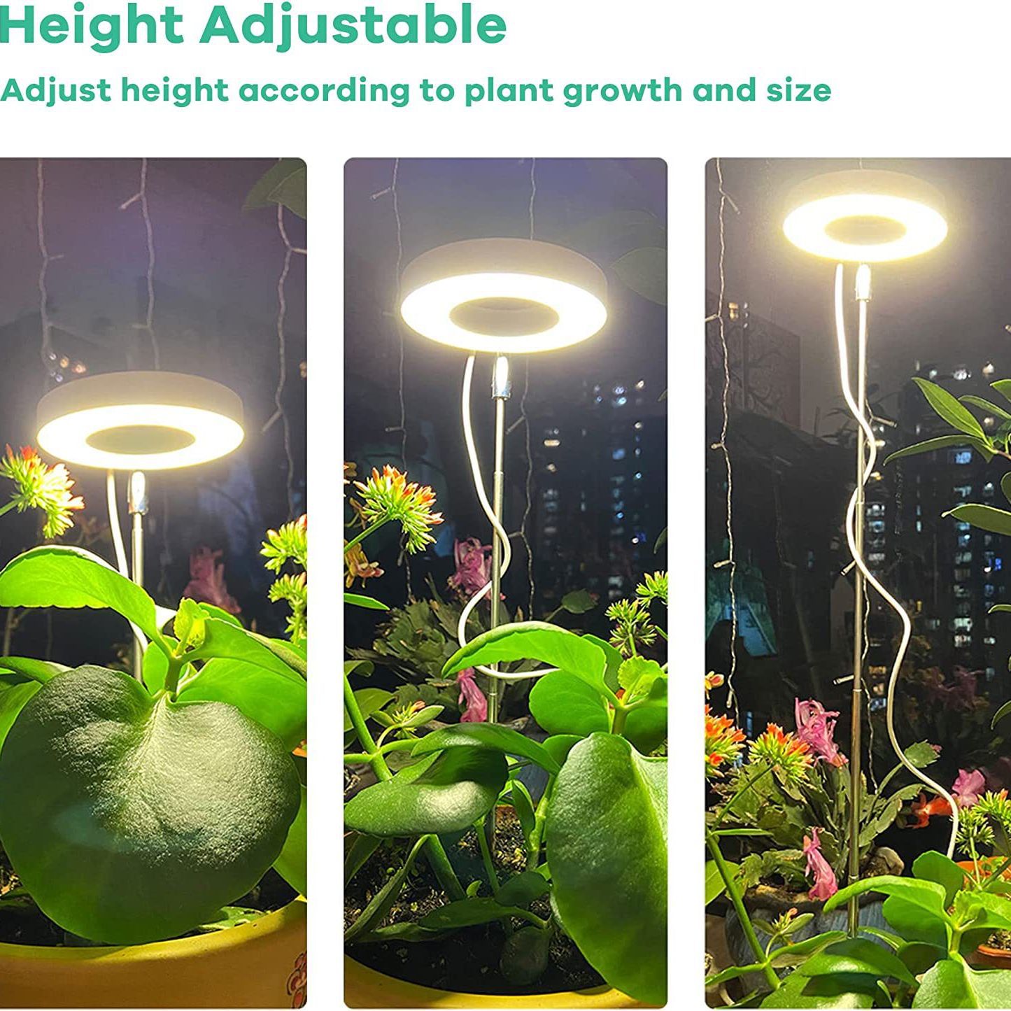 Product Cover 3